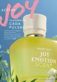 Catálogo Mary Kay Página 6