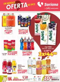 Catálogo Soriana Súper Página 13