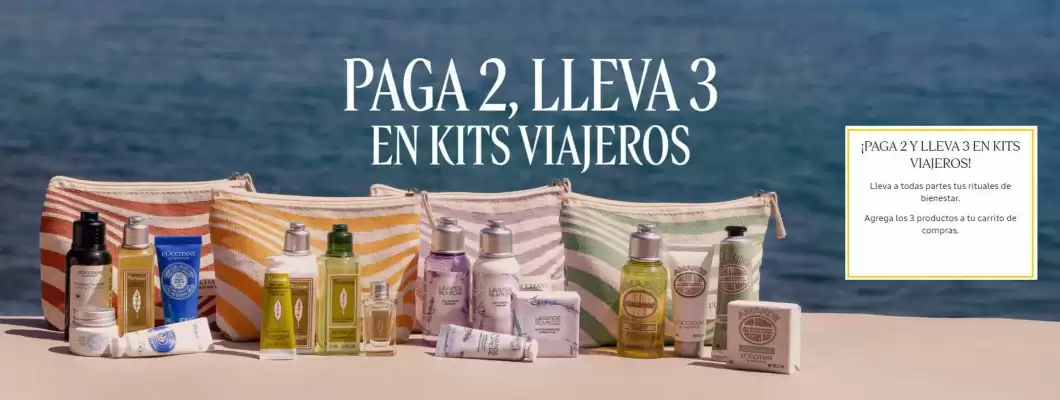 Catálogo L'Occitane (válido hasta 31-01)