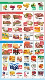 Folheto Panelão Página 2