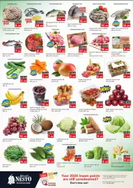 Nesto catalogue Page 3