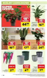 Carrefour gazetka Strona 16