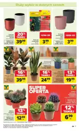 Carrefour gazetka Strona 17