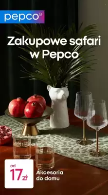Pepco gazetka (ważność do 24-01)