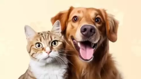 Media Expert gazetka tydzień 3 Strona 364