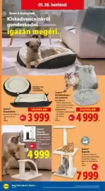 Lidl akciós újság hét 4 Oldal 20