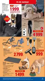 Lidl akciós újság hét 4 Oldal 21