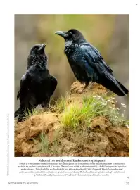 Dm drogerie leták Strana 75