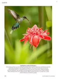 Dm drogerie leták Strana 76