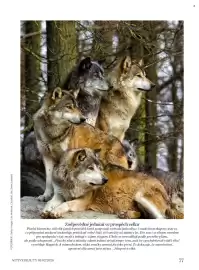 Dm drogerie leták Strana 77