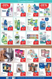 Budni Prospekt woche 5 Seite 4