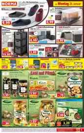 Norma Prospekt woche 5 Seite 5