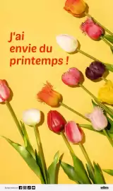 Catalogue Wibra page 10