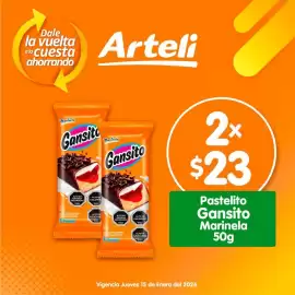 Folleto Arteli Página 2