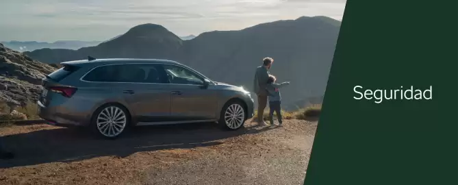 Folleto ŠKODA Página 17