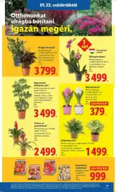 Lidl akciós újság hét 4 Oldal 17