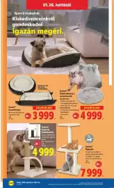 Lidl akciós újság hét 4 Oldal 44