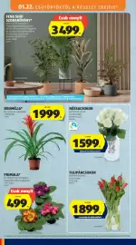 ALDI akciós újság hét 4 Oldal 26