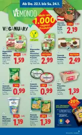Lidl Flugblatt woche 4 Seite 13