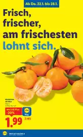 Lidl Flugblatt woche 4 Seite 3