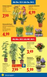 Lidl Flugblatt woche 4 Seite 30