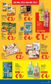Lidl Flugblatt woche 4 Seite 45
