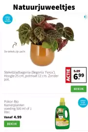 Intratuin folder week 4 Pagina 2