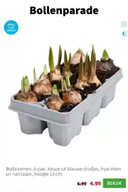 Intratuin folder week 4 Pagina 4