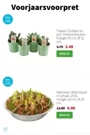 Intratuin folder week 4 Pagina 5