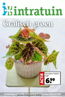 Intratuin folder (geldig t/m 25-01)