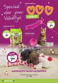 Pets & Co folder Pagina 4