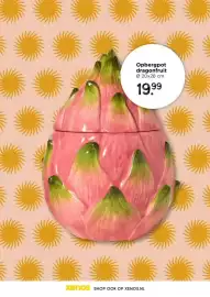 Xenos folder Pagina 22