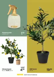 Xenos folder Pagina 27