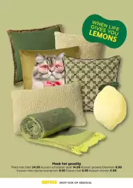 Xenos folder Pagina 29