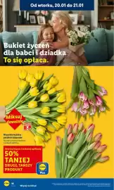 Lidl gazetka Strona 18