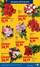Lidl gazetka Strona 19