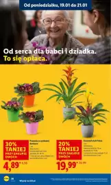 Lidl gazetka Strona 20