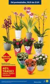 Lidl gazetka Strona 21