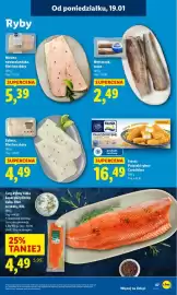 Lidl gazetka Strona 47