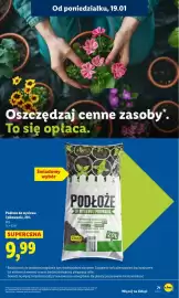 Lidl gazetka Strona 71