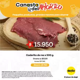 Catálogo Éxito Página 5