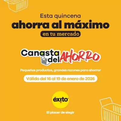 Catálogo Éxito (válido hasta 19-01)