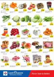 Last Chance flyer Page 2