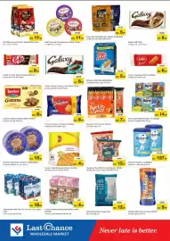 Last Chance flyer Page 3