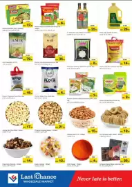 Last Chance flyer Page 5