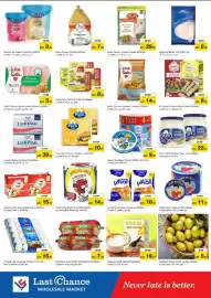 Last Chance flyer Page 8