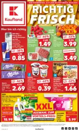 Kaufland DE tilbudsavis uge 4 Side 1
