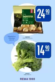 Rema 1000 uke 4 Side 13