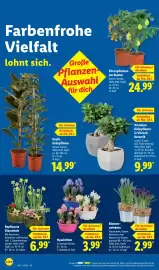 Lidl Prospekt woche 5 Seite 64