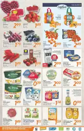 Inkoop Prospekt woche 4 Seite 2